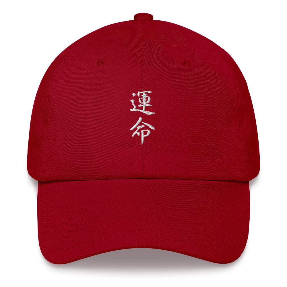 Destiny Hat